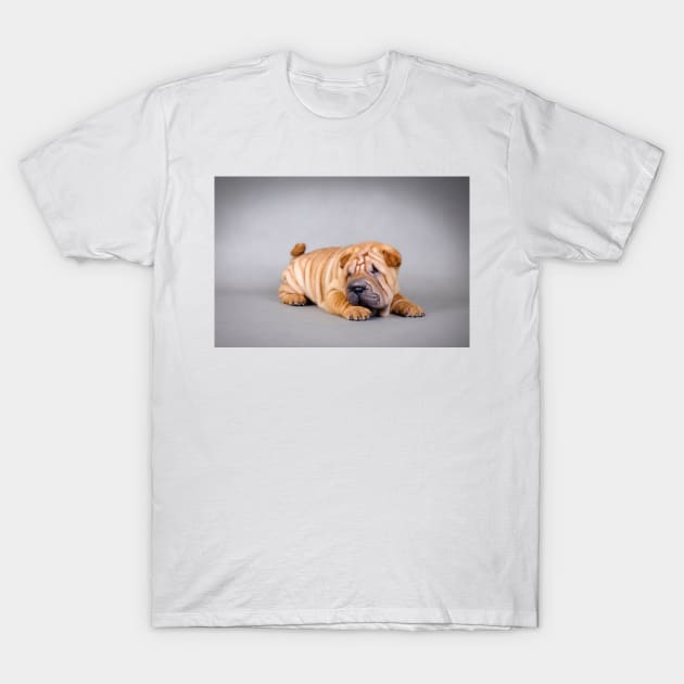 Shar pei puppy T-Shirt by PetsArt